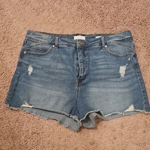 Sofia by Sofia Vergara Blue Jean Shorts Distressed Cut-Off Style